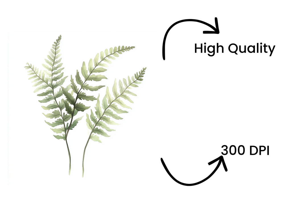 Delicate Fern Clipart Bundle
