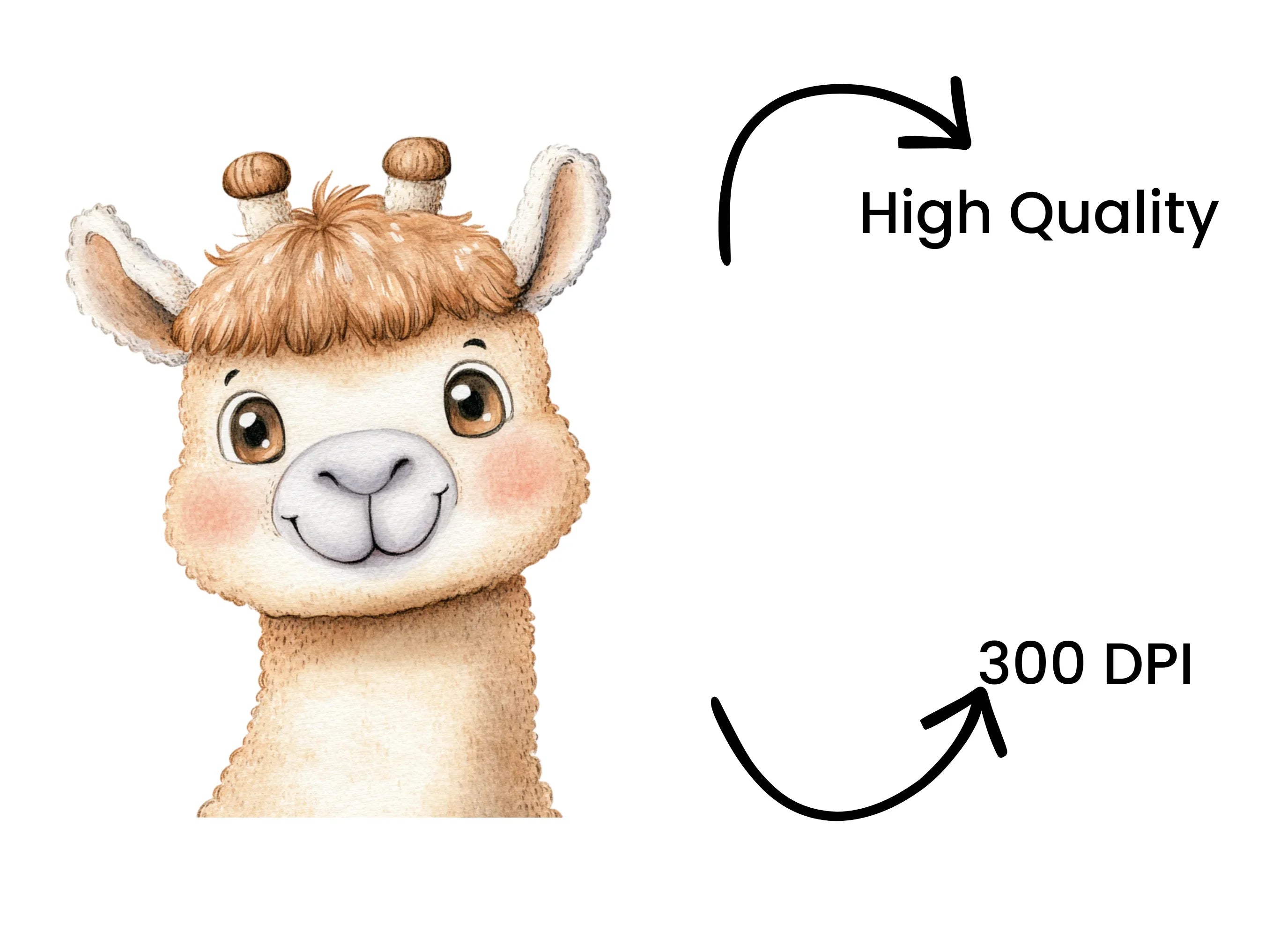 Cute Llama Clipart Bundle