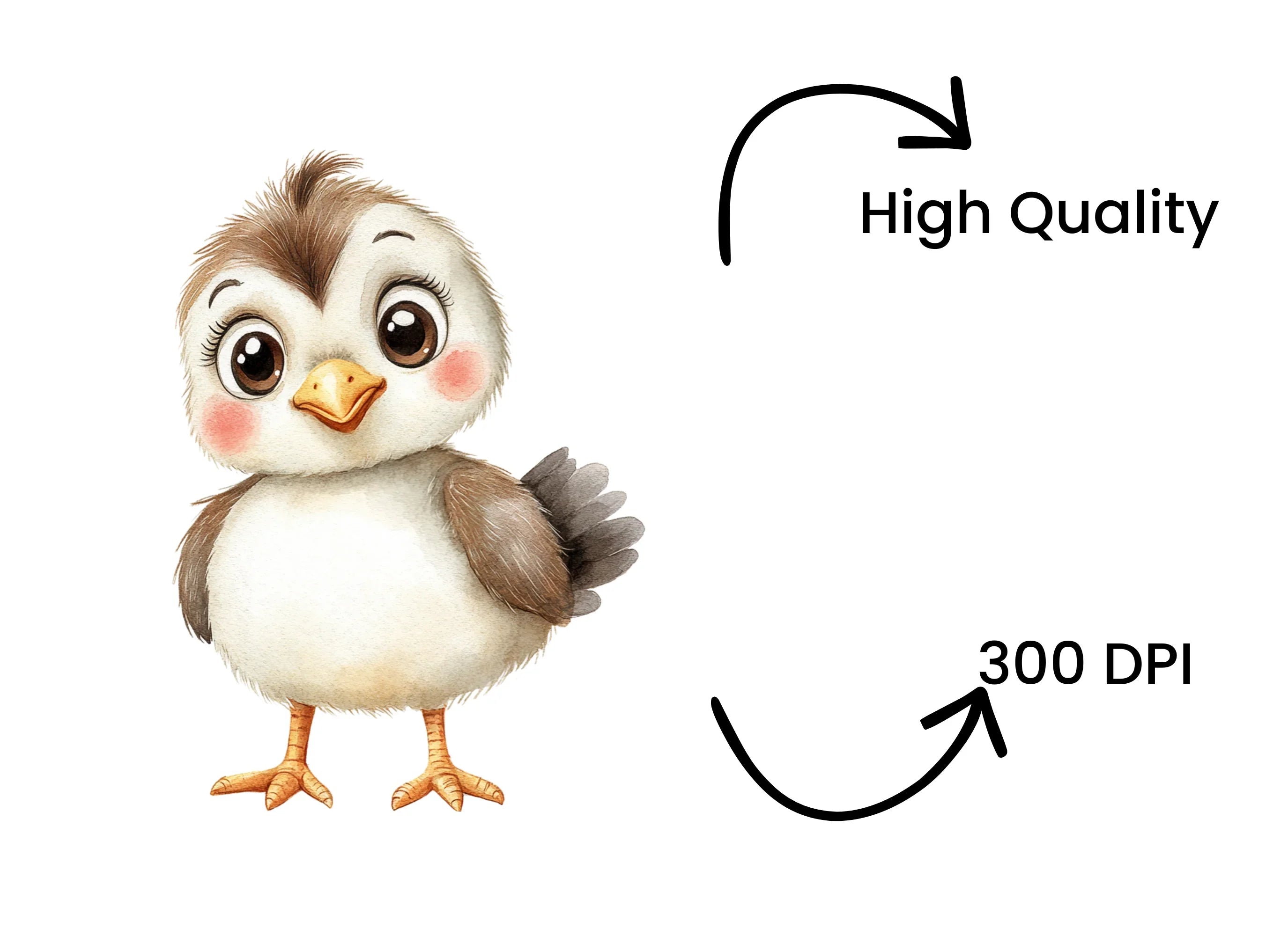 Sweet Sparrow Bird Clipart Bundle