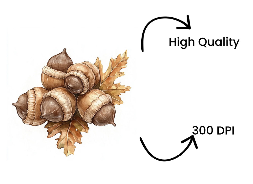 Acorn Oak Leaf Clipart Bundle