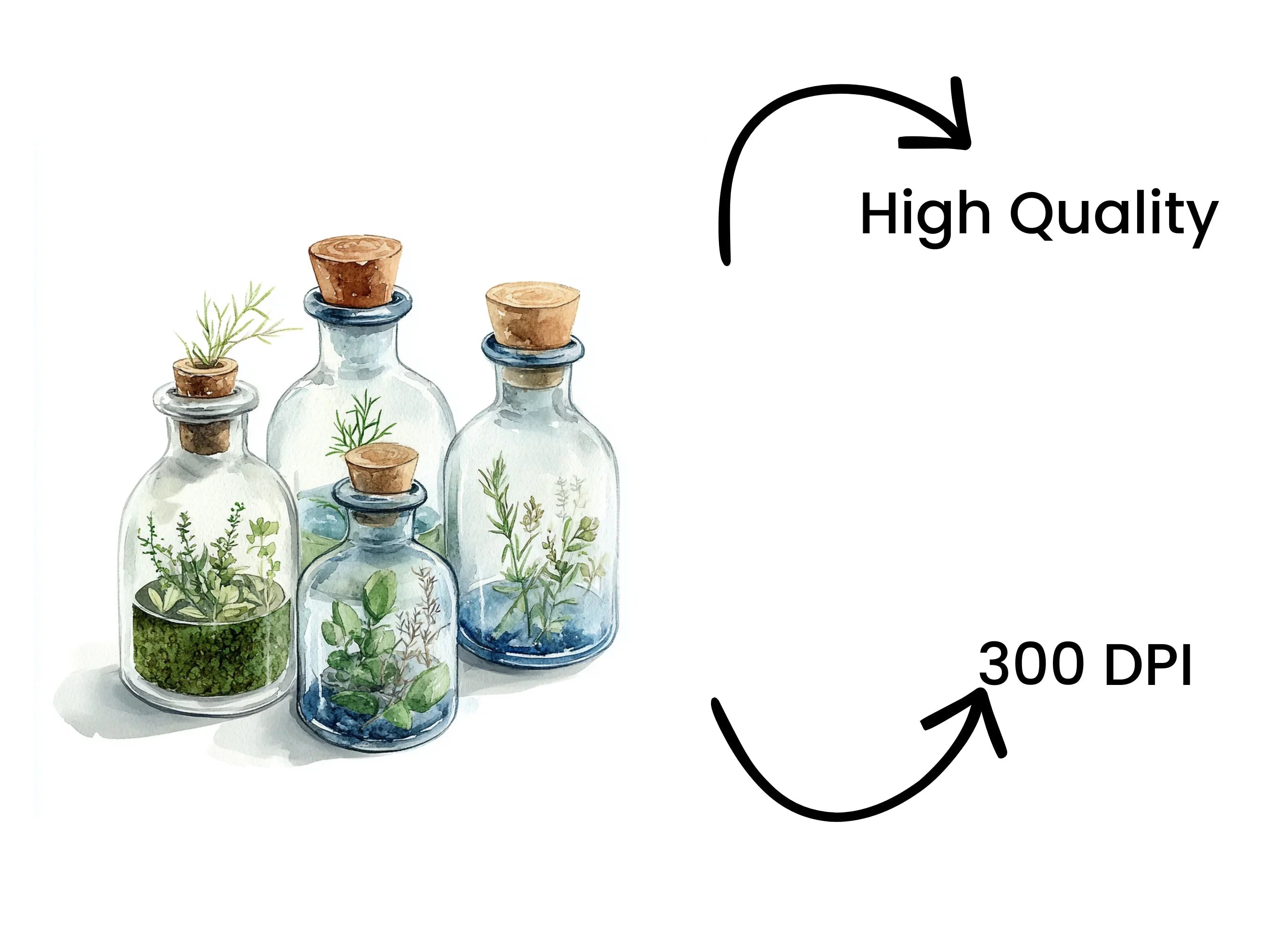 Herbal Glass Bottles Clipart Bundle