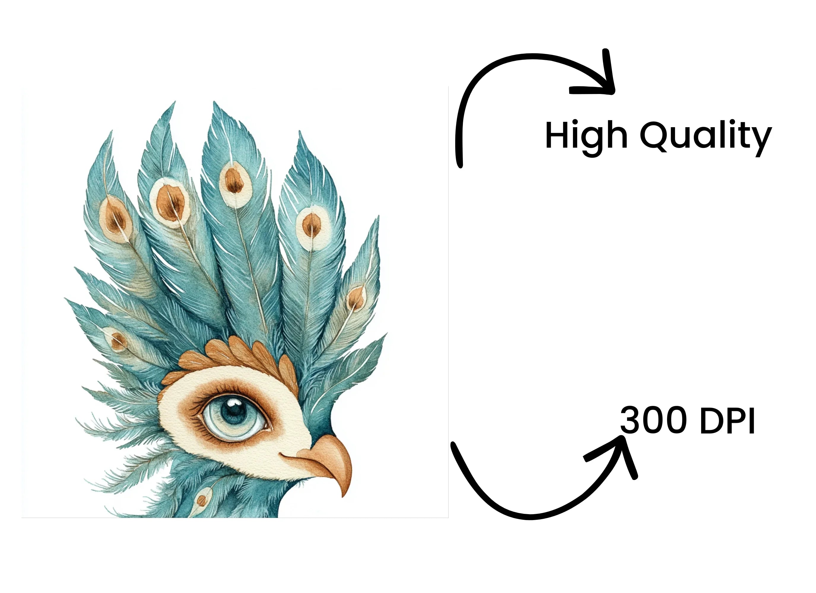 Feathered Bird Heads Clipart Bundle