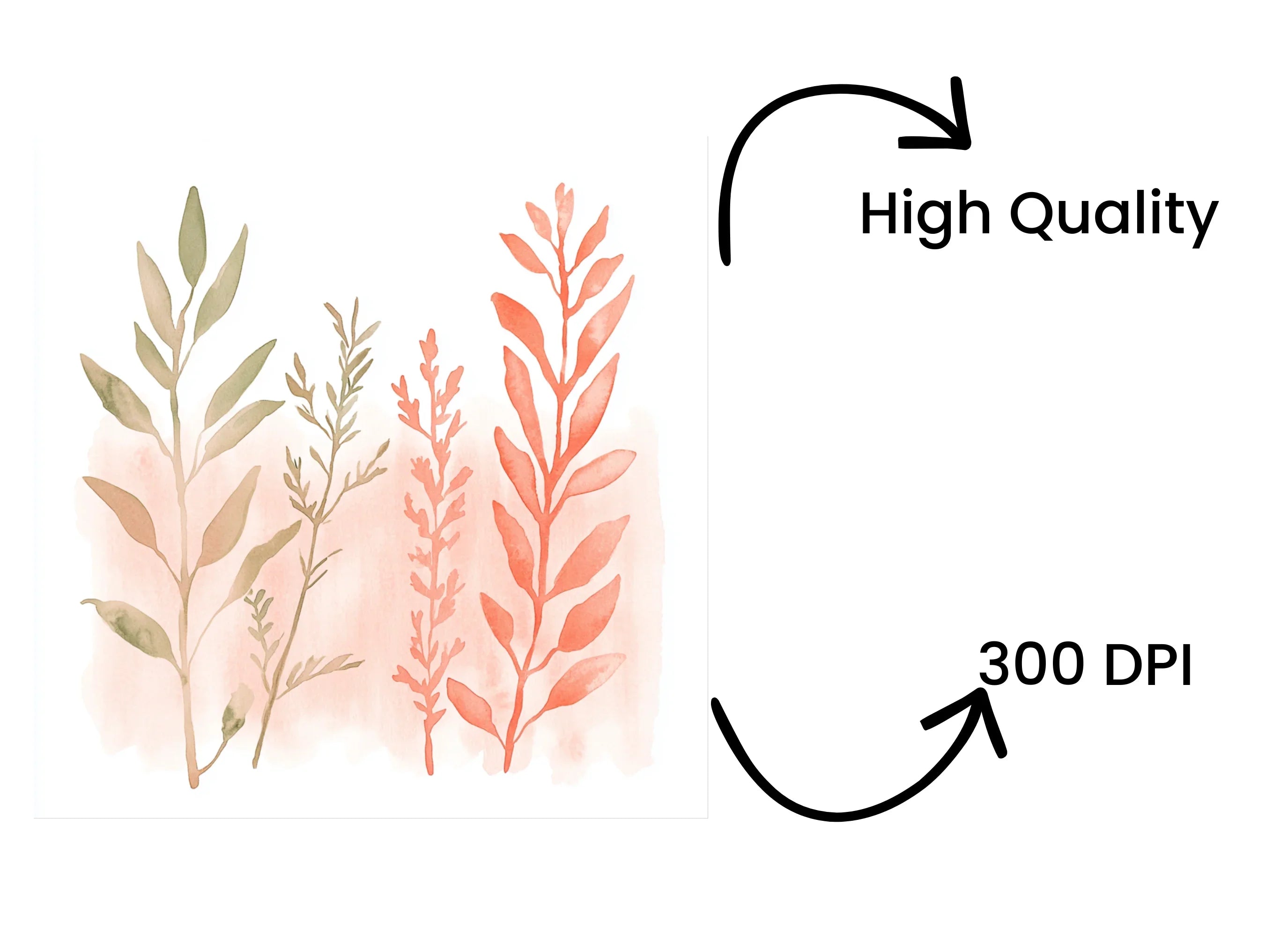 Botanical Clipart Bundle