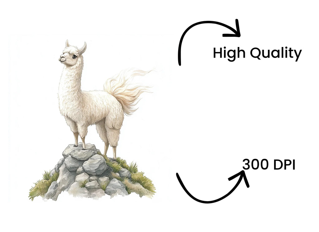 Cute Llama Clipart Bundle