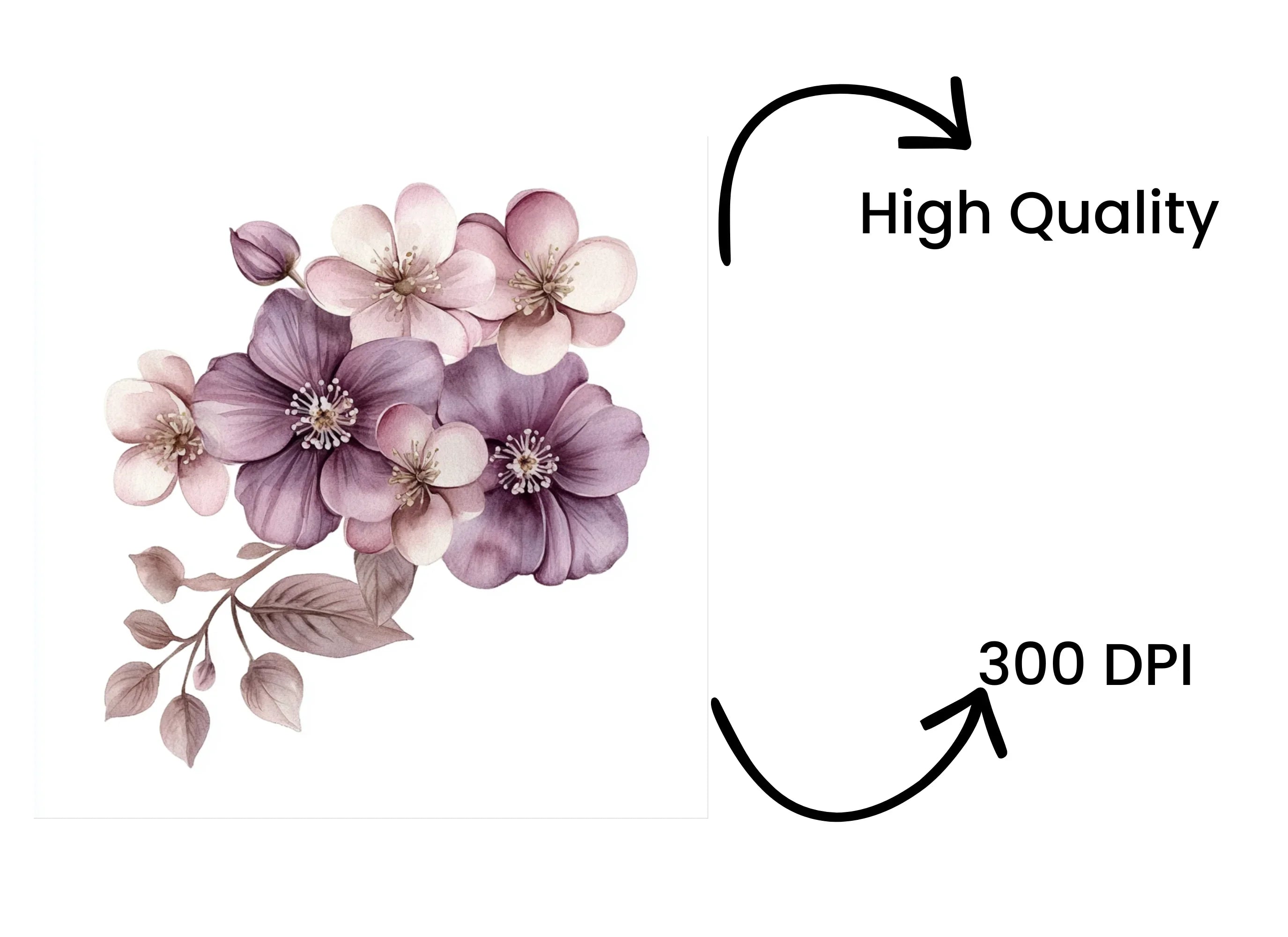 Elegant Floral Clipart Bundle