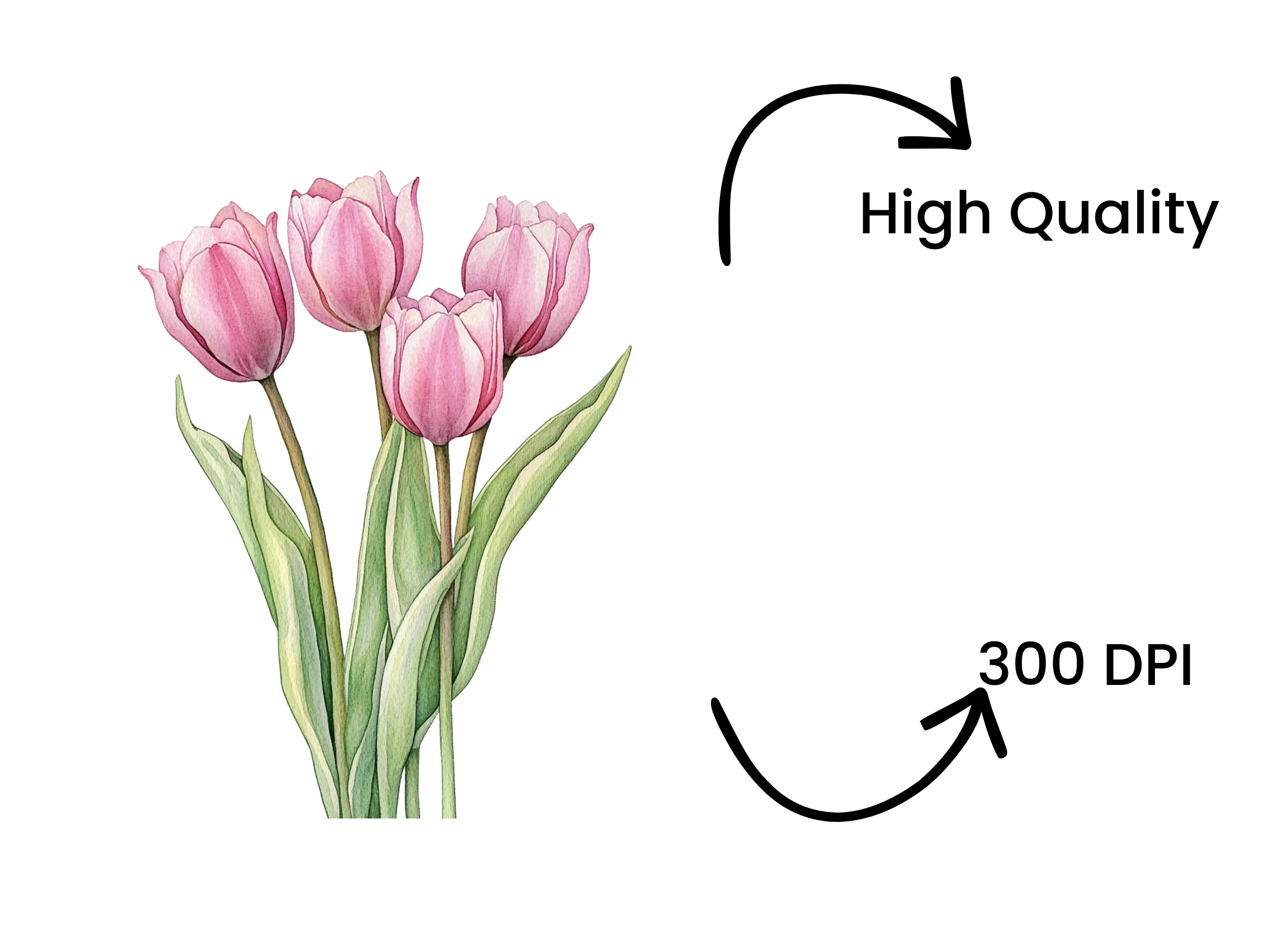 Pink Tulip Bouquets Clipart Bundle