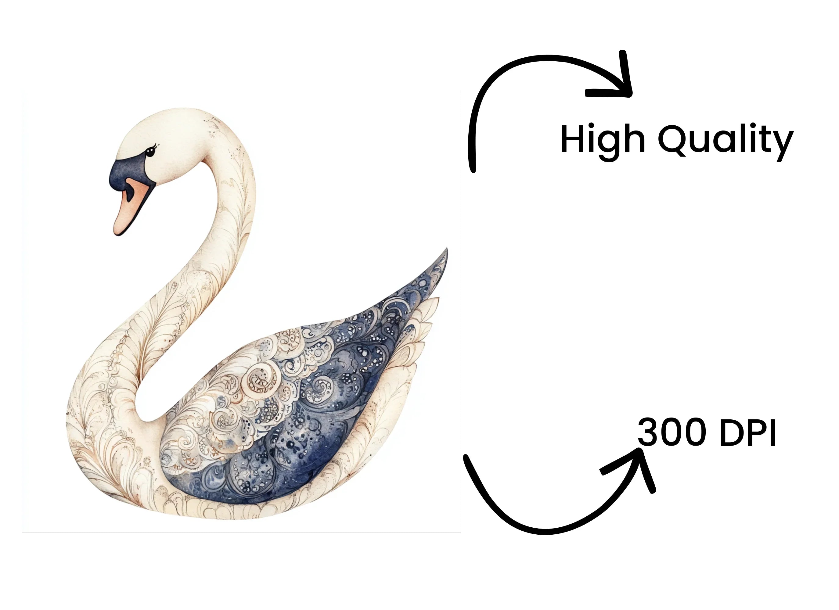 Elegant Swan Clipart Bundle