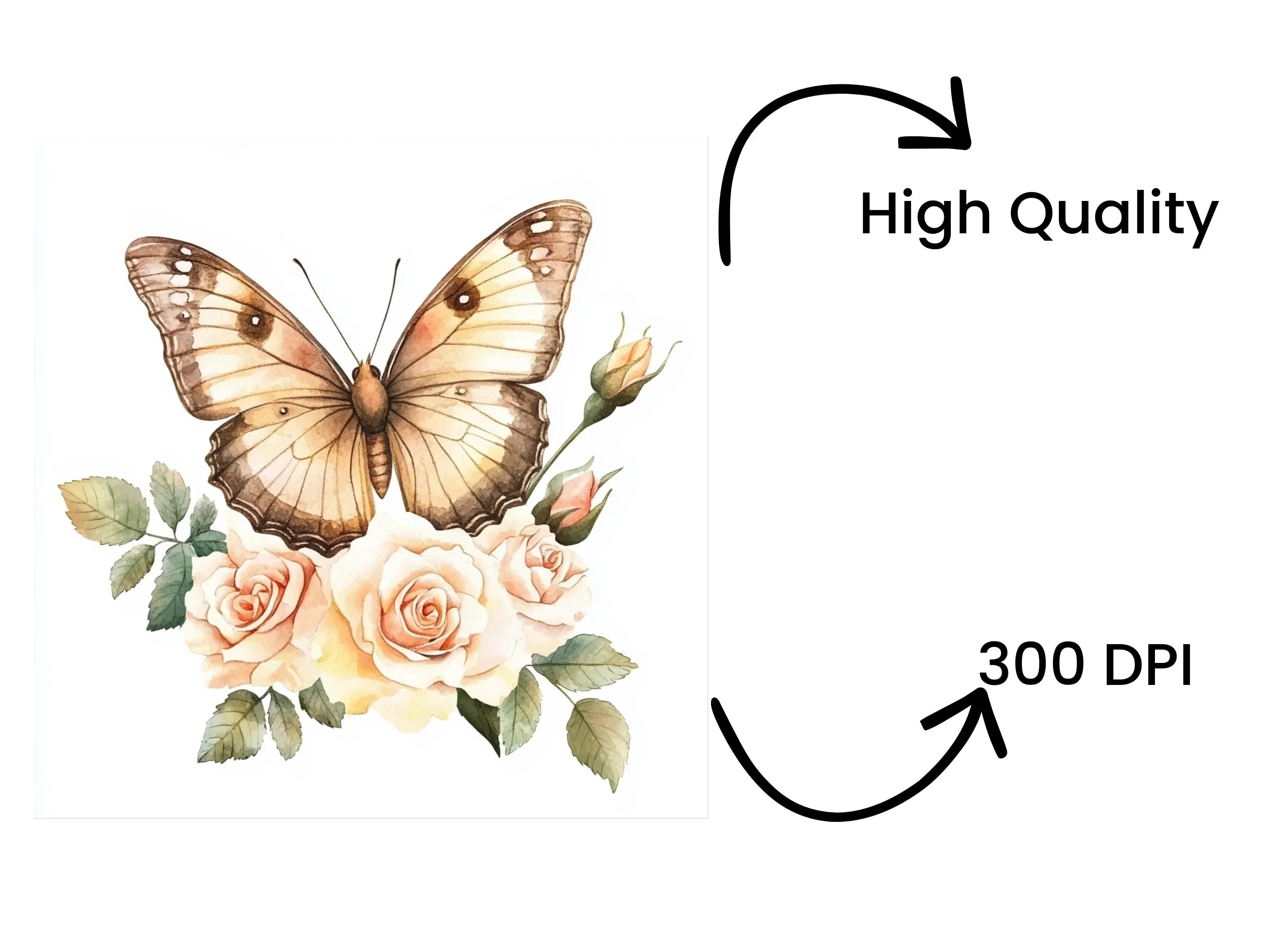 Elegant Butterfly and Rose Clipart Bundle