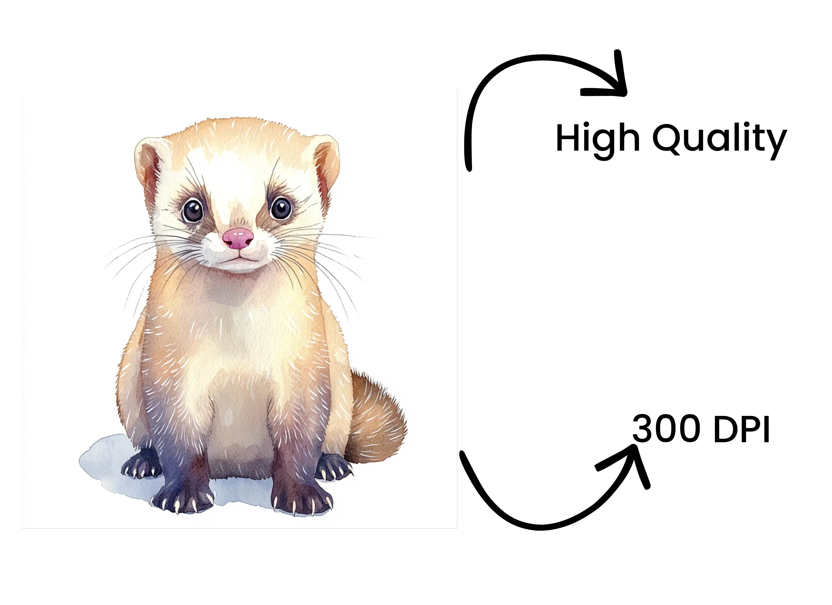 Cute Ferret Clipart Bundle