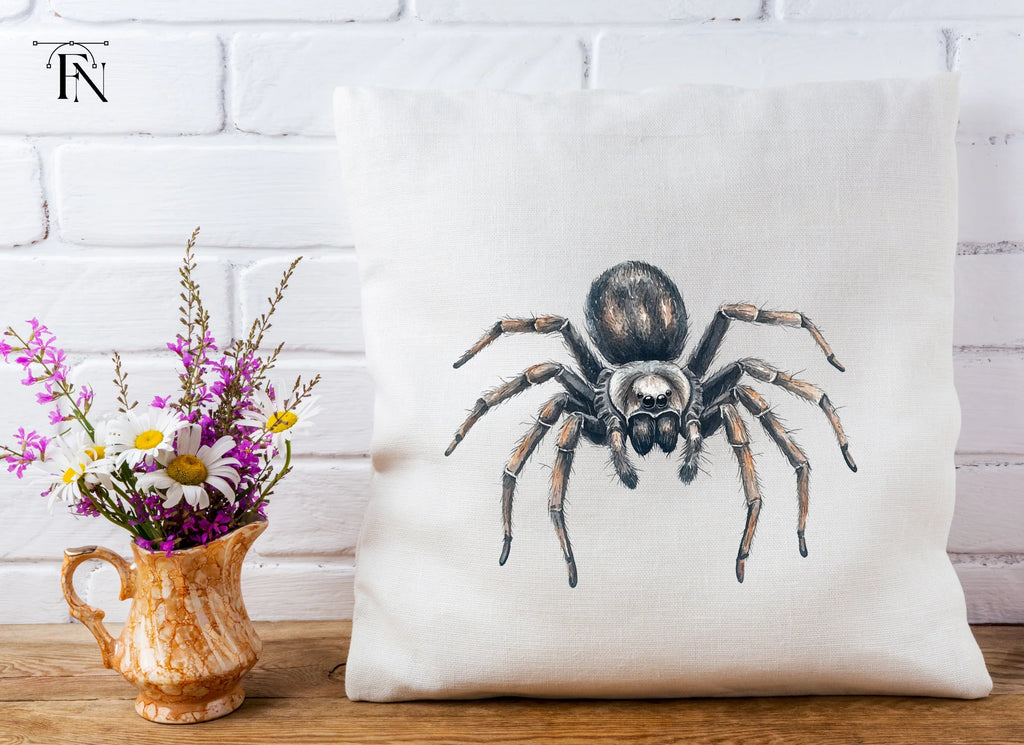 Realistic Spider Clipart Bundle