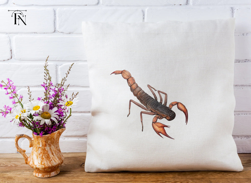 Realistic Scorpion Insect Clipart Bundle