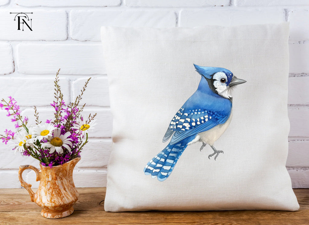 Realistic Blue Jay Bird Clipart Bundle