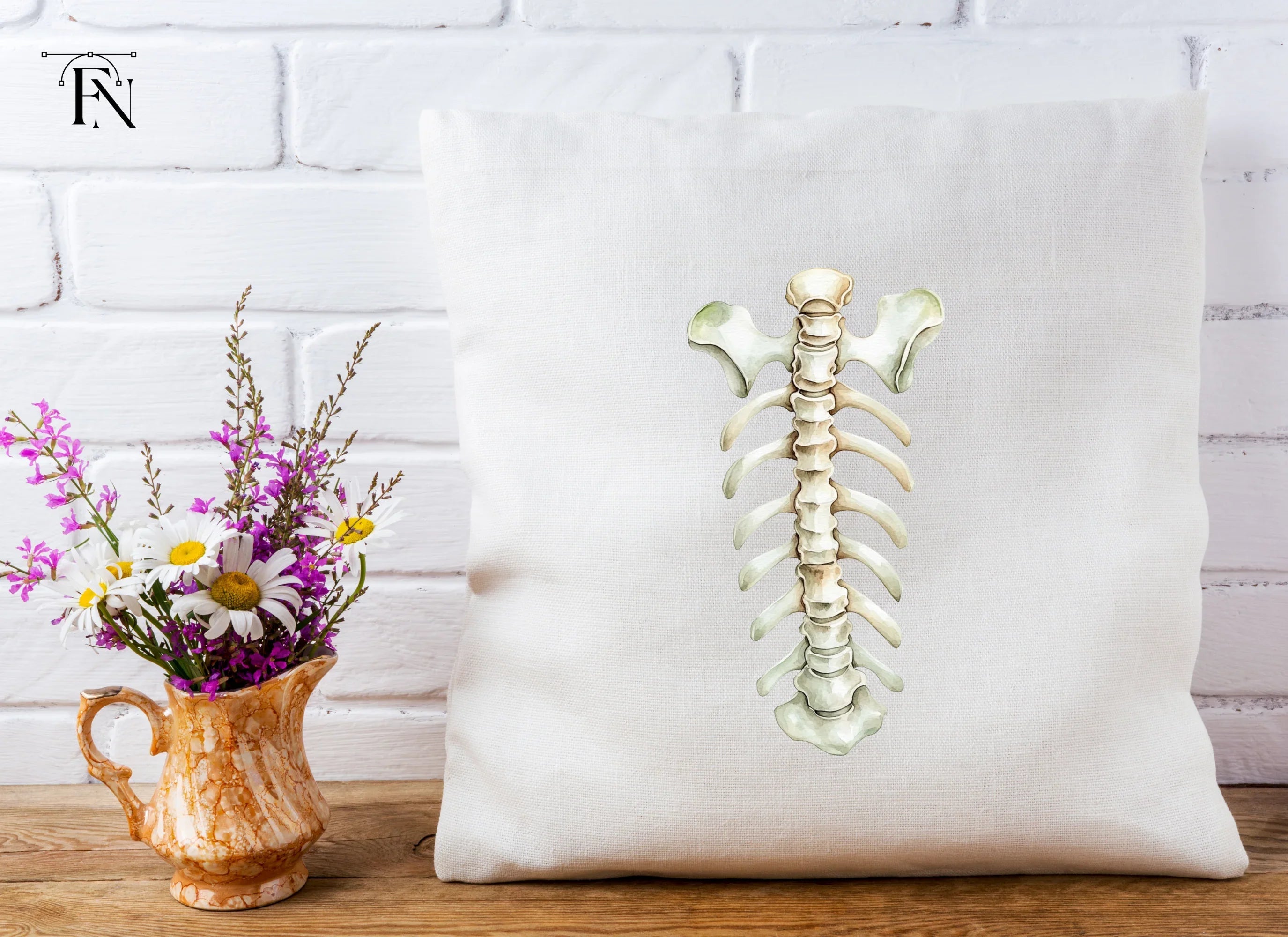 Human Spine and Ribs Clipart Bundle
