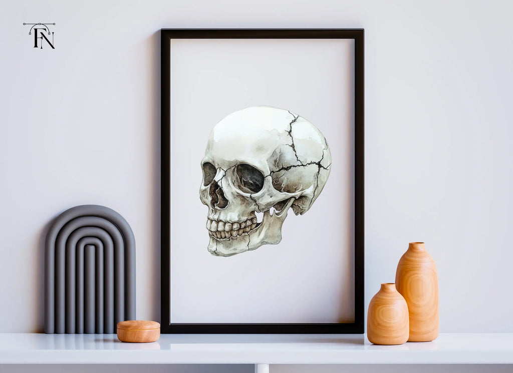 Cracked Skull Side View Clipart Bundle