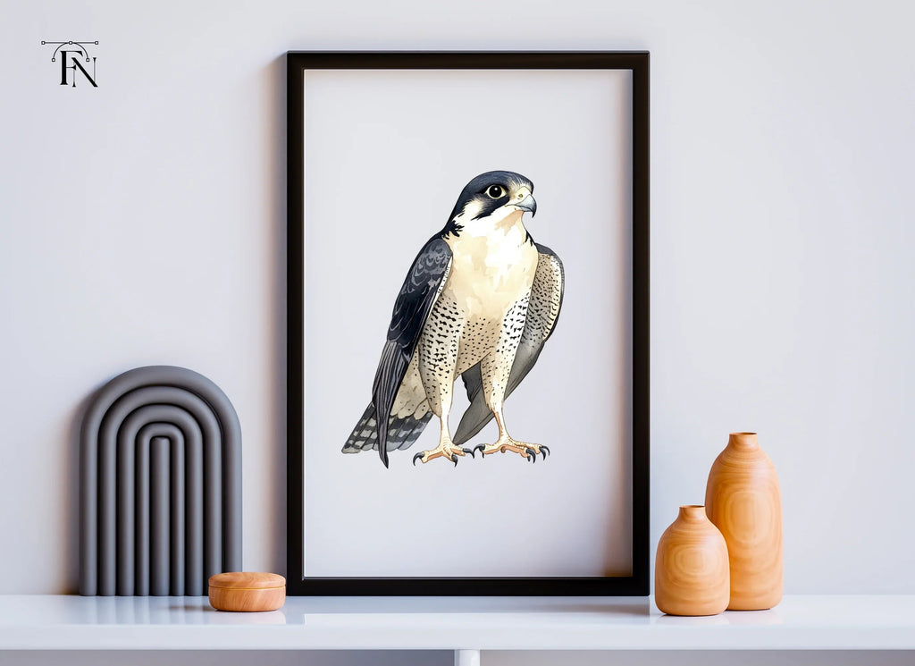 Majestic Peregrine Falcon Clipart Bundle