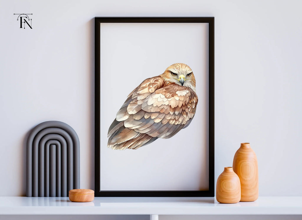Fierce Hawk Illustration Clipart Bundle