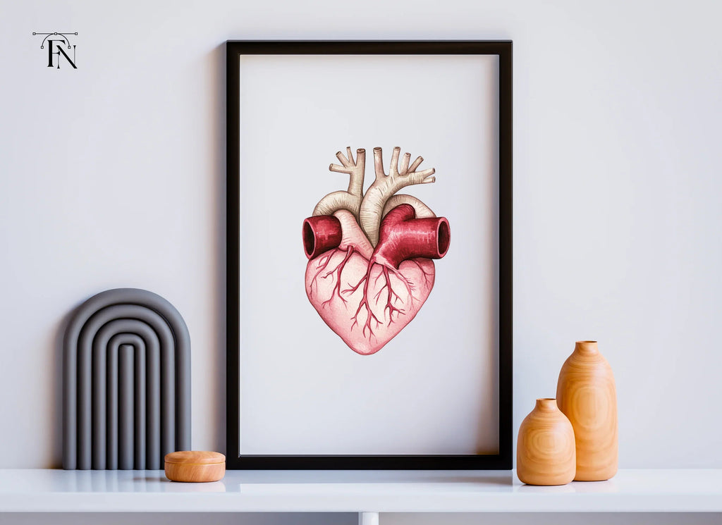 Detailed Human Heart Anatomy Clipart Bundle