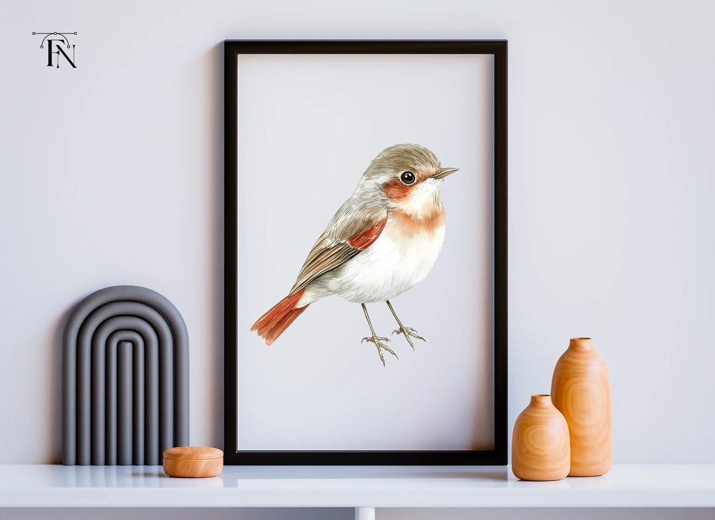 Cute Bird Clipart Bundle