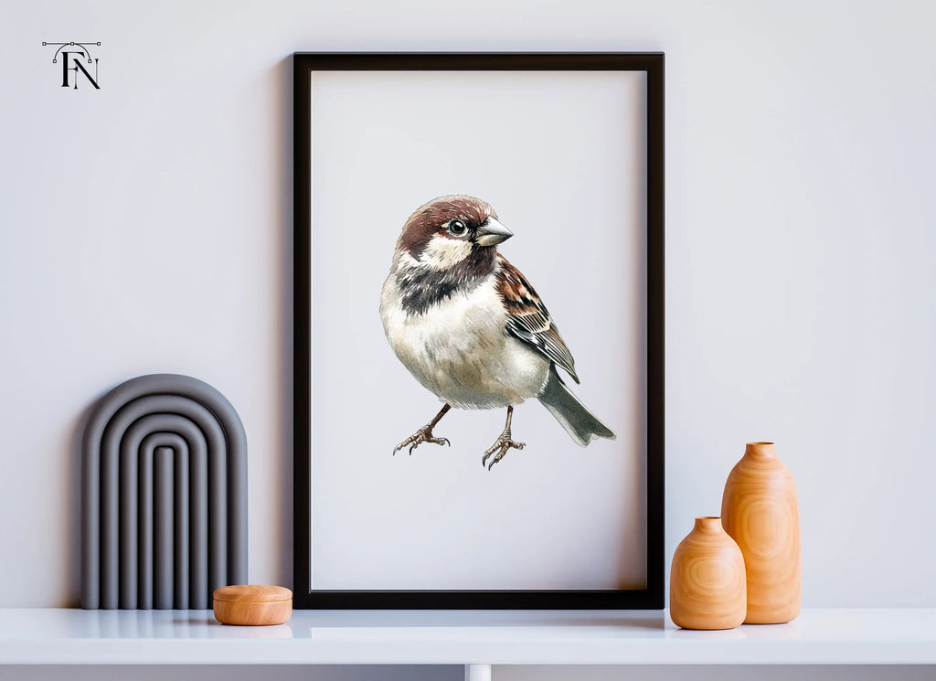 Sparrow Bird Clipart Bundle