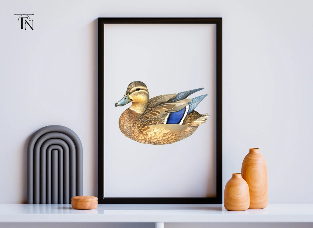 Mallard Duck Female Clipart Bundle