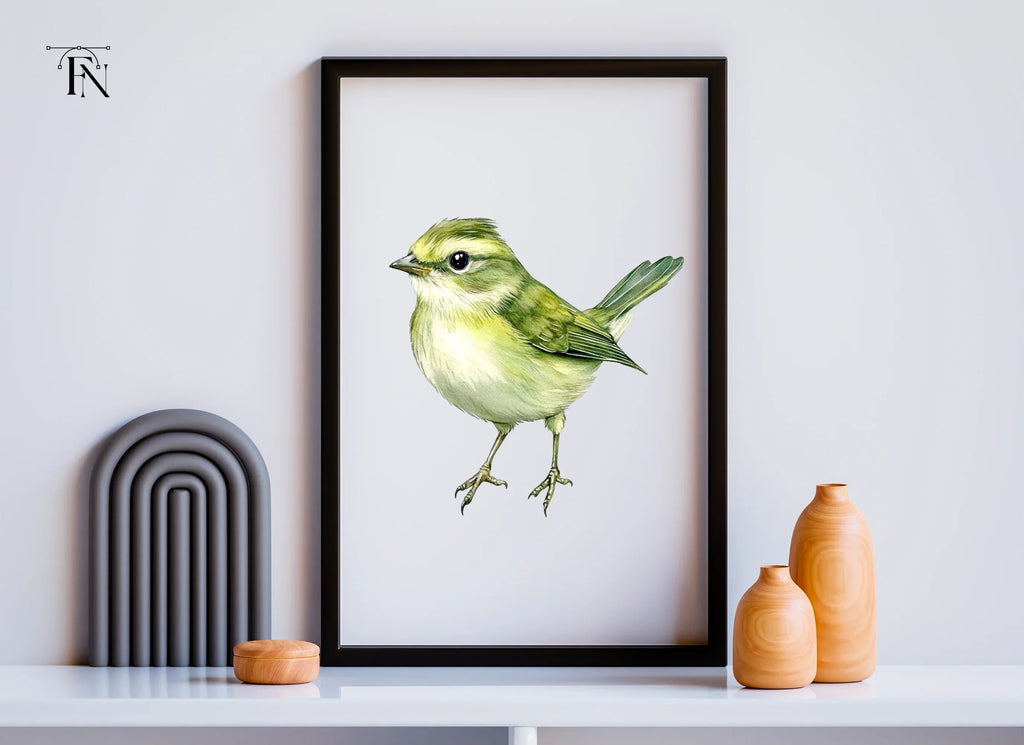 Little Green Bird Clipart Bundle