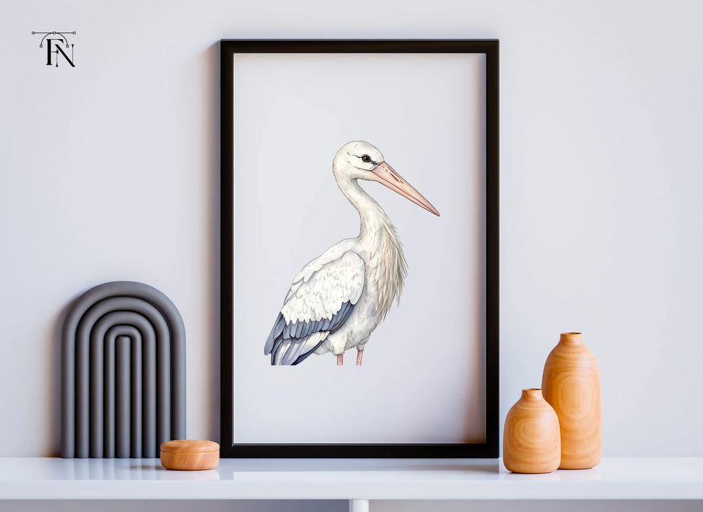 Stork Illustrations Clipart Bundle