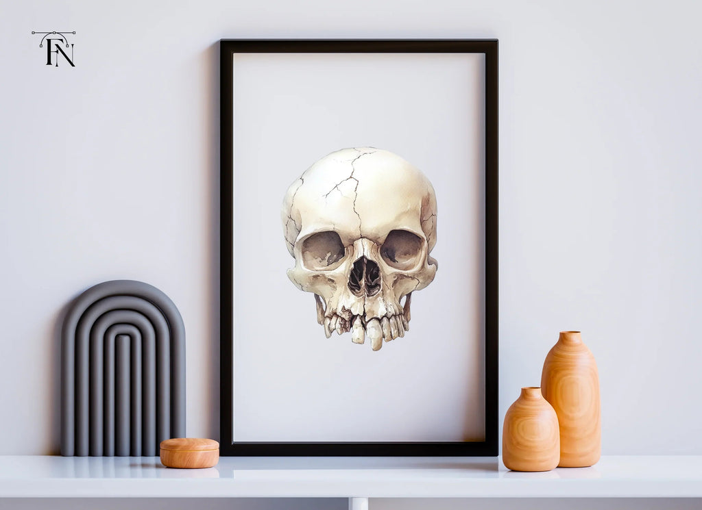 Detailed Skull Illustrations Clipart Bundle