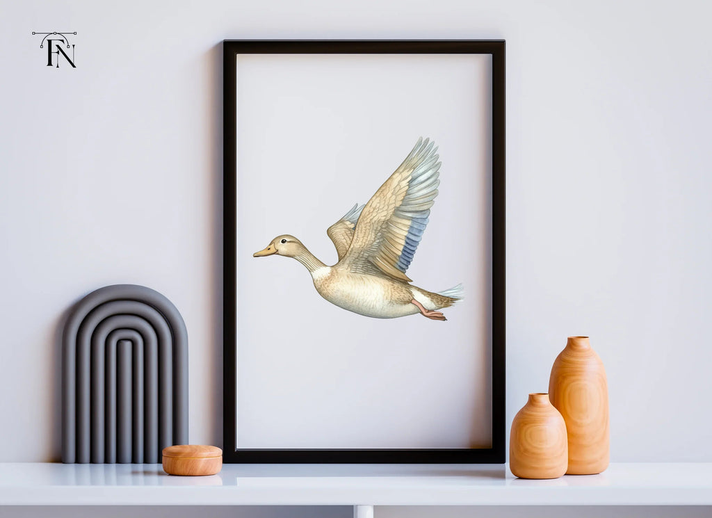 Flying White Ducks Clipart Bundle