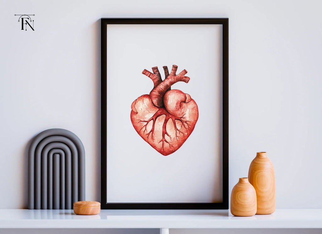 Anatomical Heart Clipart Bundle