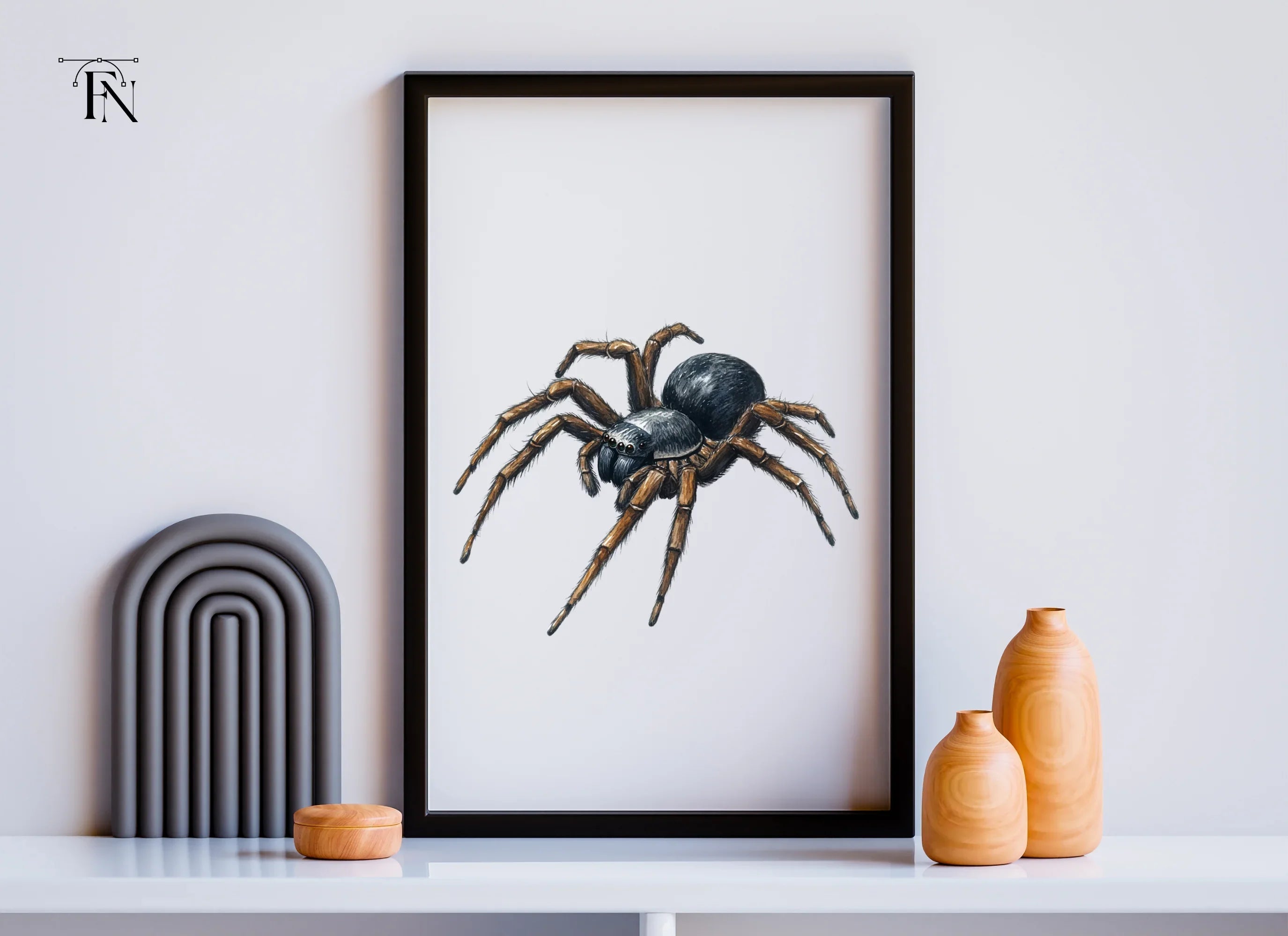 Realistic Spider Clipart Bundle