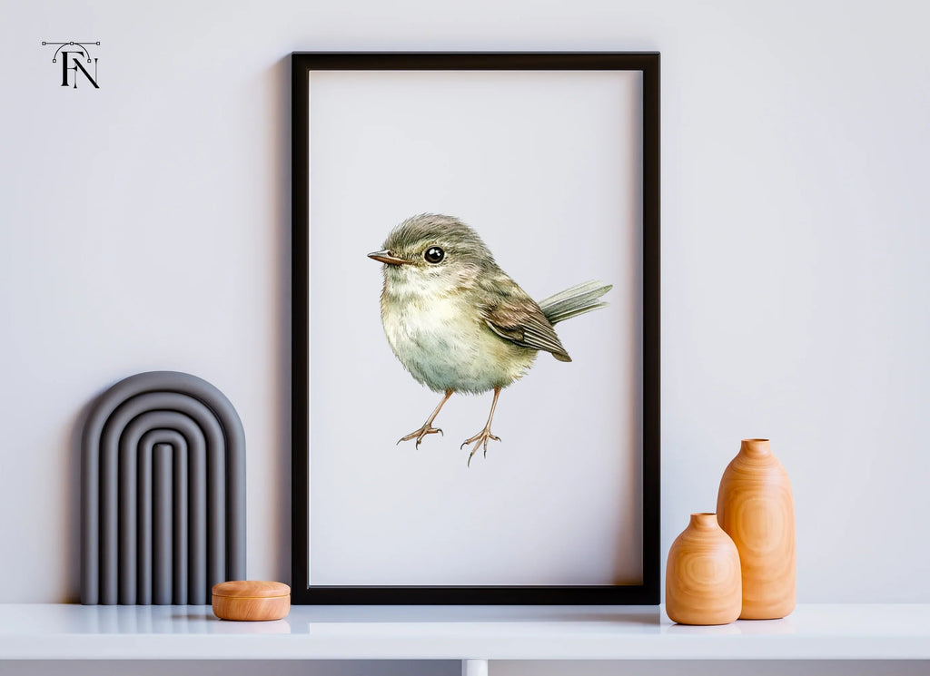 Cute Bird Clipart Bundle