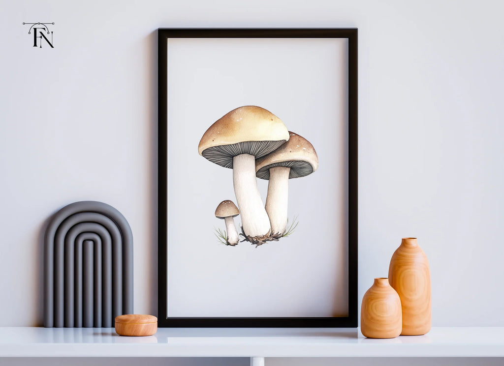 Mushroom Clipart Bundle