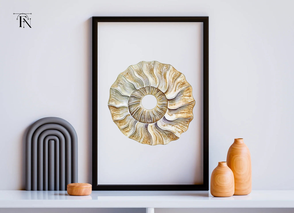 Vintage Ammonite Shell Clipart Bundle