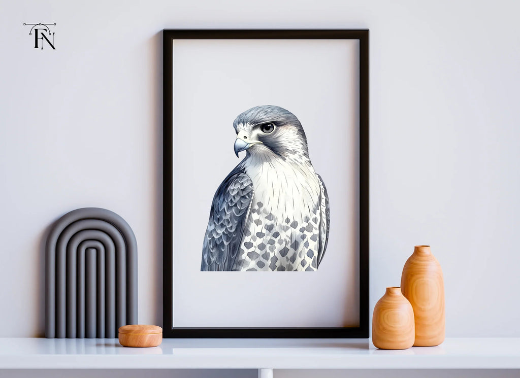 Majestic Falcon Clipart Bundle