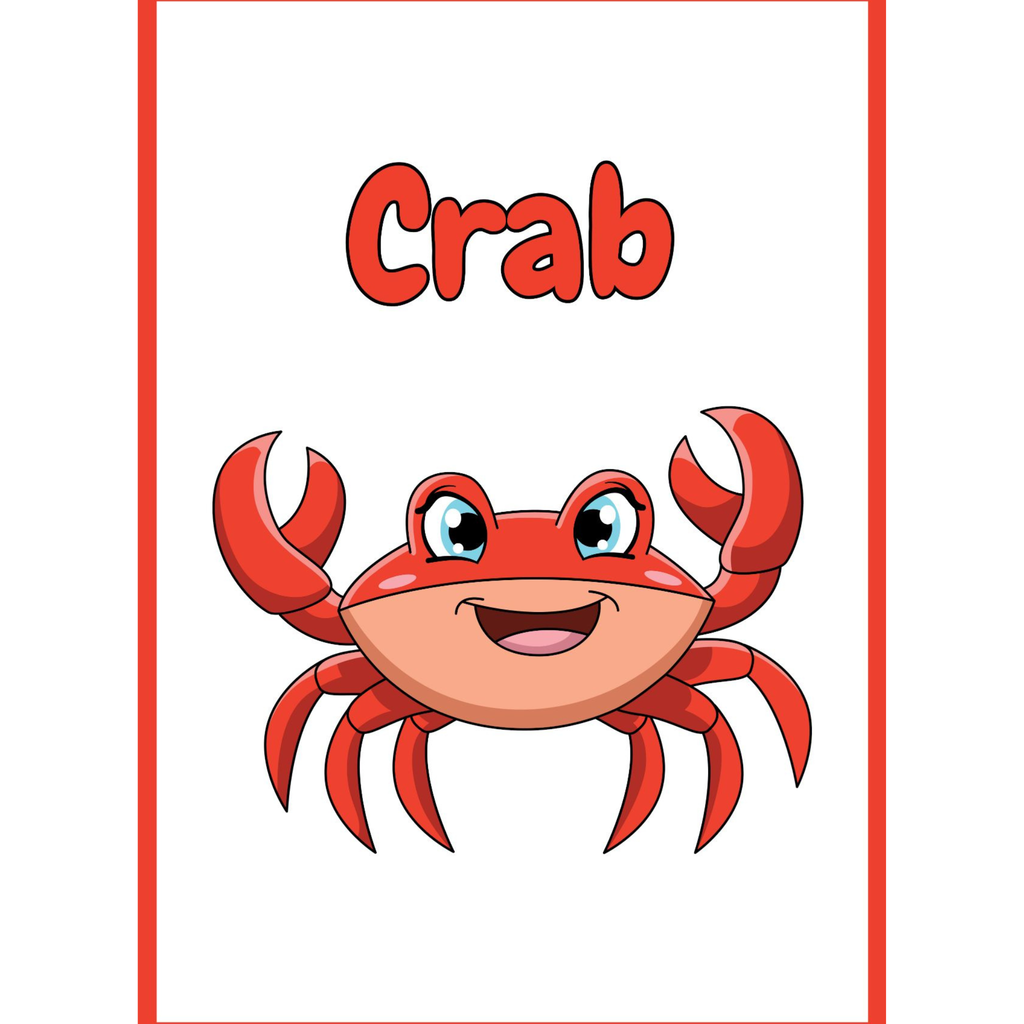 Sea Animals Flashcards for Kids