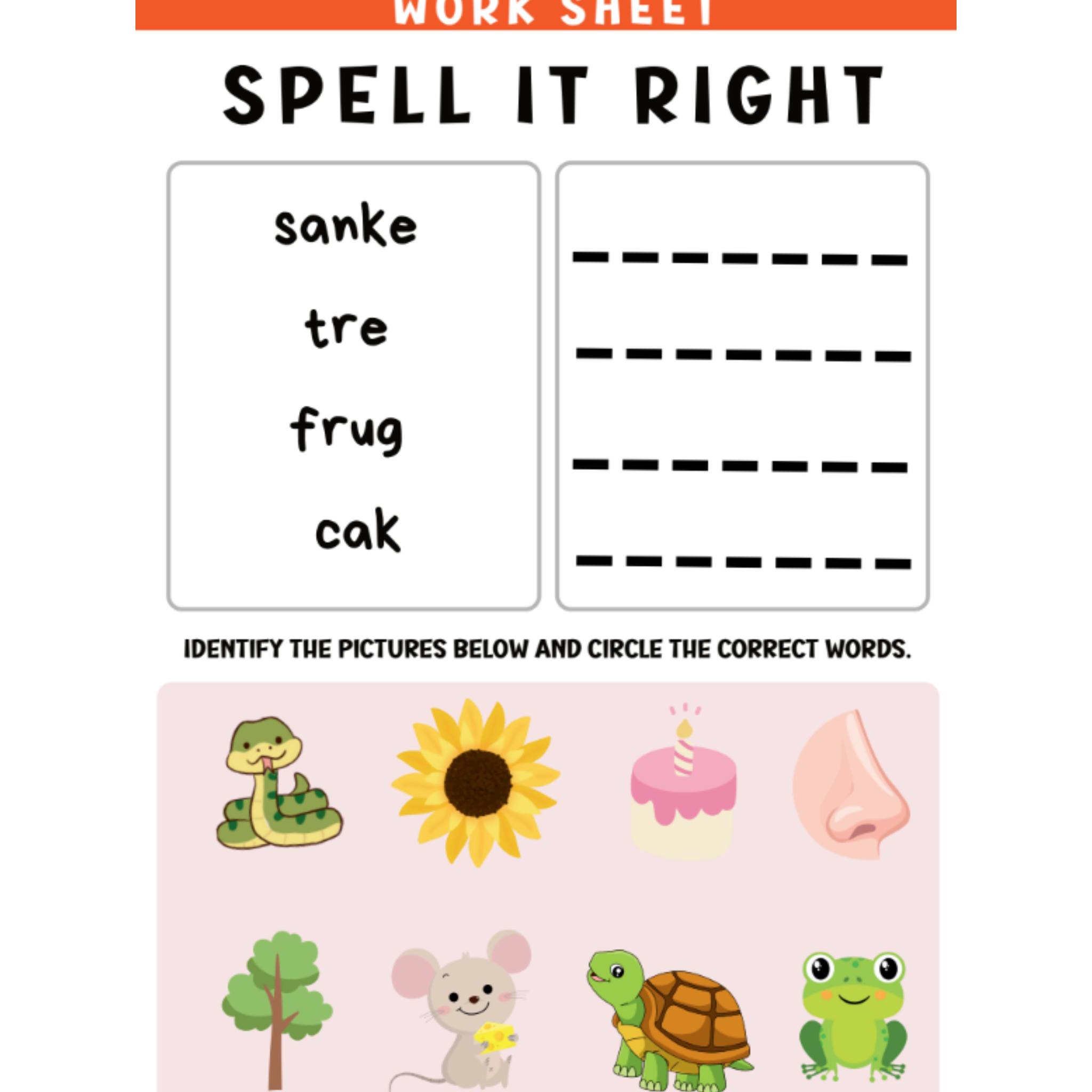 Spell It Right Picture Spelling Worksheets