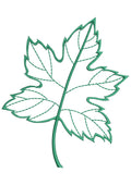 Maple Leaf Embroidery Design