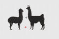 Llama Embroidery Design