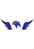 Head Feather Embroidery Design