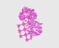 Flower Embroidery Design