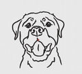 Dog Embroidery Design