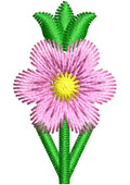 Booti Embroidery Design