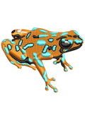 Qota Frog Beauty Colour Embroidery Design