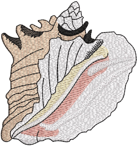 Queen Shell Embroidery Design