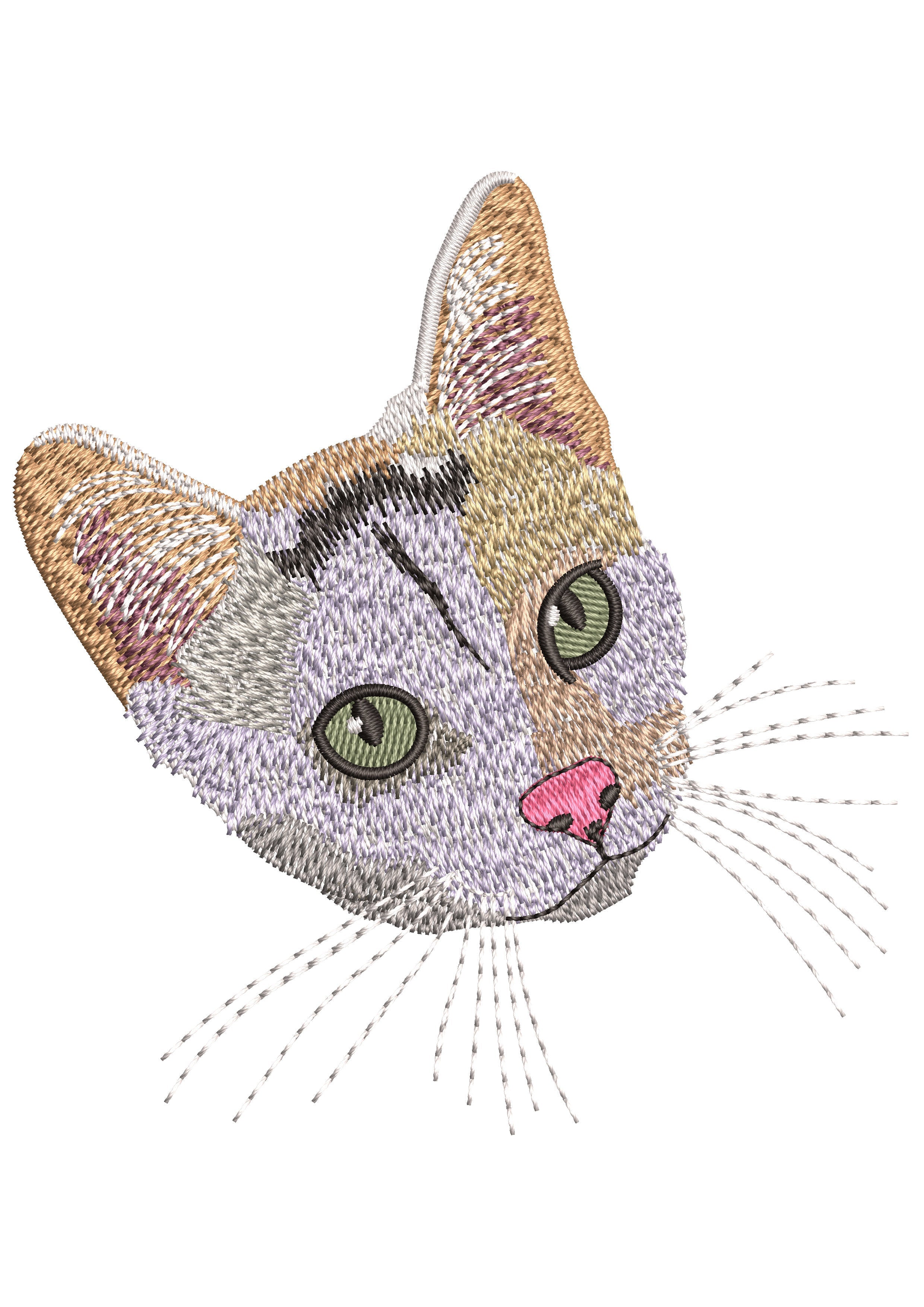 Cat Baby Embroidery Design