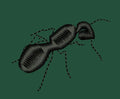 Black Ant Embroidery Design
