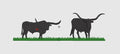 Bull Embroidery Design