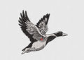 Duck Embroidery Design