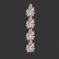 Flower Embroidery Design
