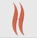 Flower Embroidery Design